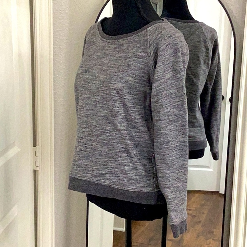 Everlane Sweatshirt